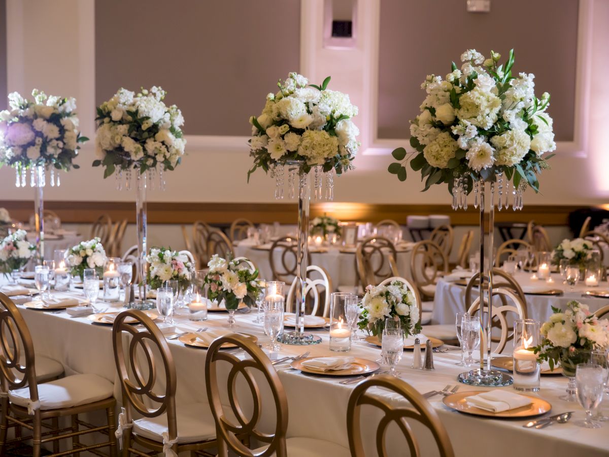 Hayes Mansion San Jose, Curio Collection by Hilton