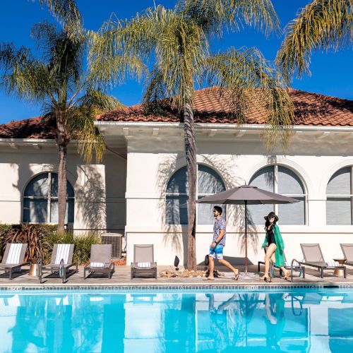 Hayes Mansion San Jose, Curio Collection by Hilton