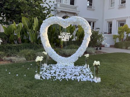 Hayes Mansion San Jose, Curio Collection by Hilton